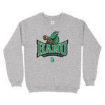 Load image into Gallery viewer, HAMU Wizards Crewneck Sweater (Green House)
